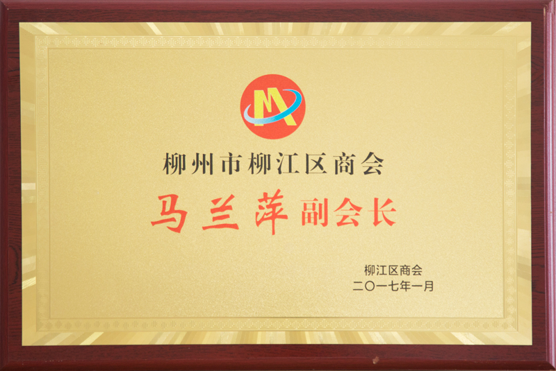 柳州糖心VLOG演员表